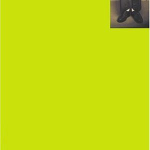 The Perks of Being a Wallflower  Stephen Chbosky