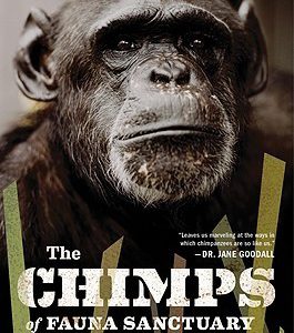 The Chimps of Fauna Sanctuary: A True Story of Resilience and Recovery  Andrew Westoll
